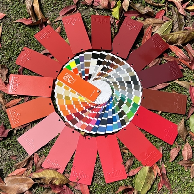 Innenraum Pulverbeschichtung kundenspezifische Farben Epoxypolyester